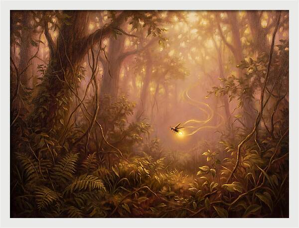 Firefly In The Forest