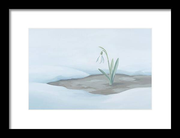 First Snowdrop Emerging Through Last Winter