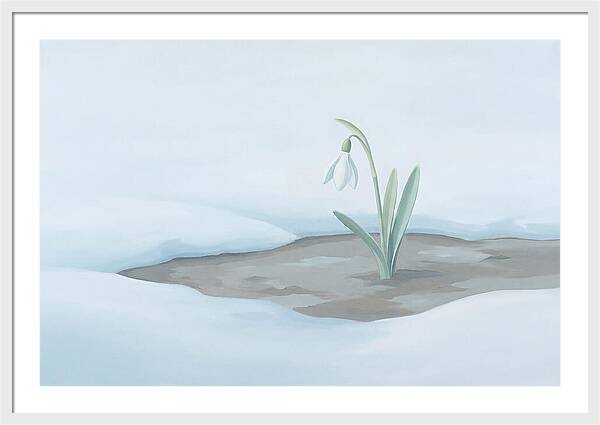 First Snowdrop Emerging Through Last Winter