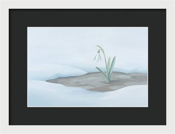 First Snowdrop Emerging Through Last Winter