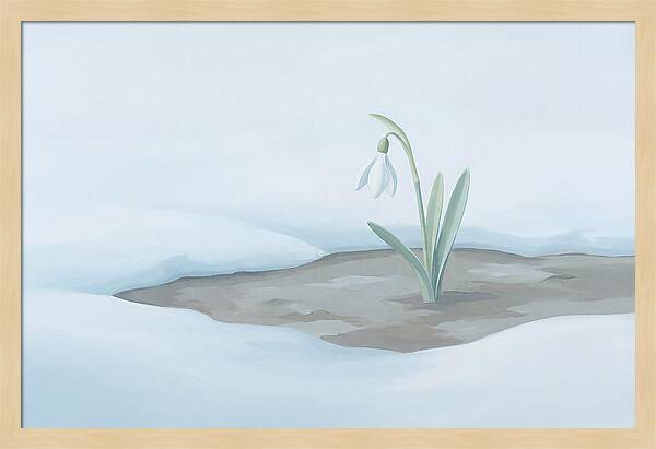 First Snowdrop Emerging Through Last Winter