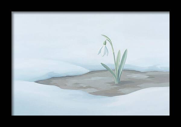 First Snowdrop Emerging Through Last Winter
