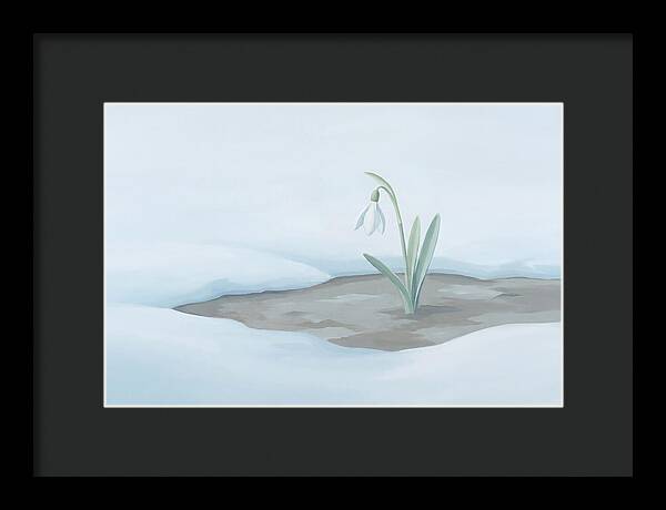 First Snowdrop Emerging Through Last Winter