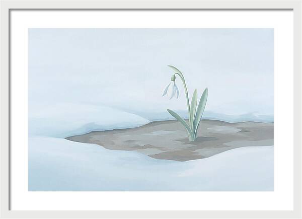 First Snowdrop Emerging Through Last Winter