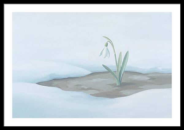 First Snowdrop Emerging Through Last Winter