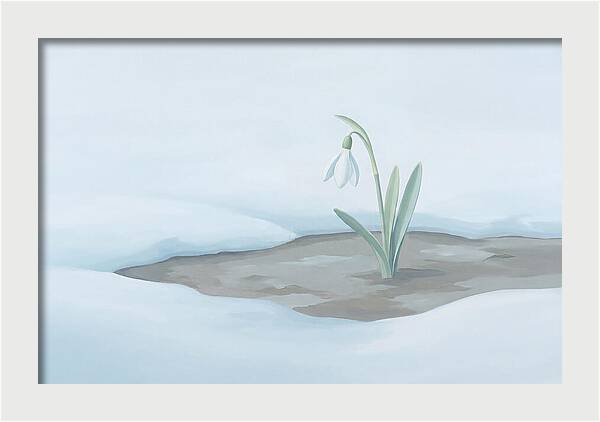 First Snowdrop Emerging Through Last Winter