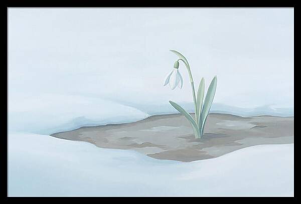 First Snowdrop Emerging Through Last Winter