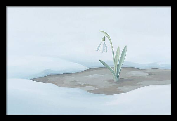First Snowdrop Emerging Through Last Winter