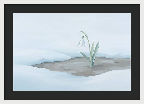 First Snowdrop Emerging Through Last Winter