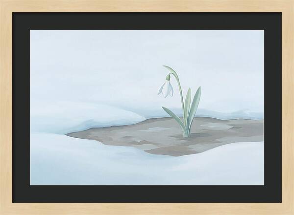 First Snowdrop Emerging Through Last Winter