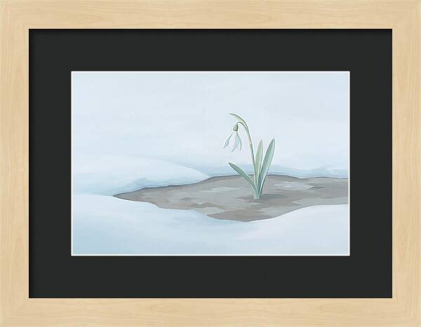 First Snowdrop Emerging Through Last Winter