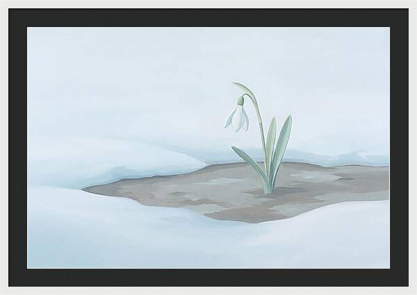 First Snowdrop Emerging Through Last Winter