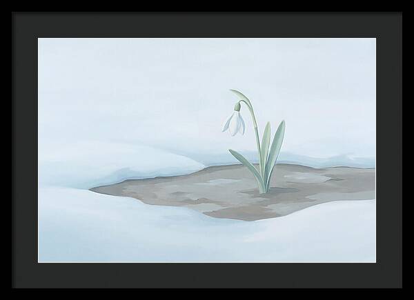 First Snowdrop Emerging Through Last Winter