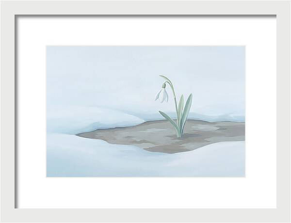 First Snowdrop Emerging Through Last Winter