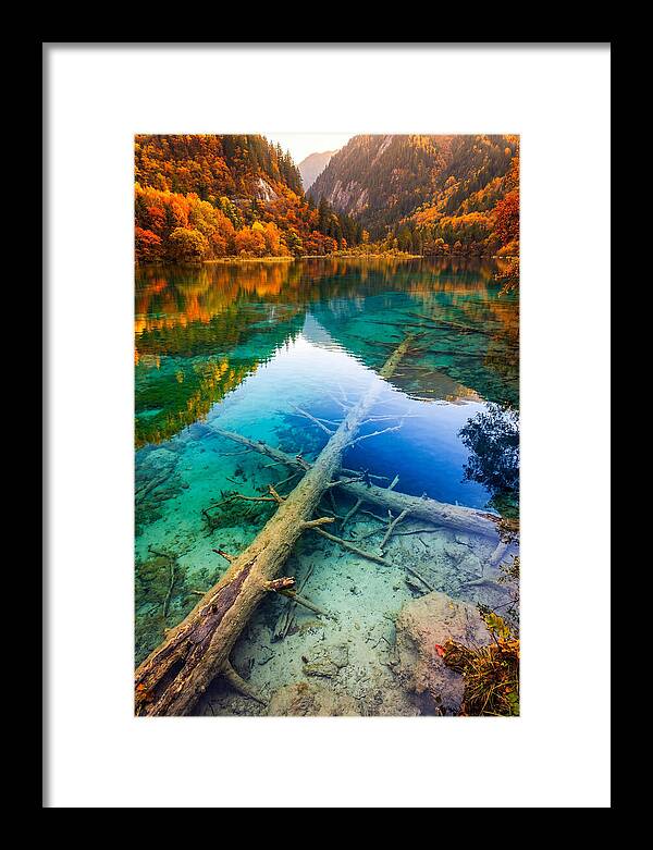 Five Flower Lake Reflections