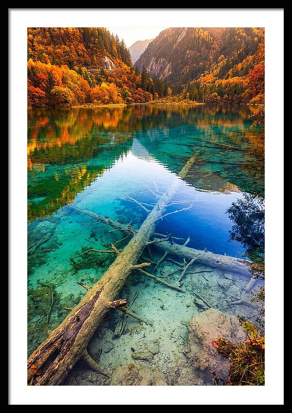 Five Flower Lake Reflections