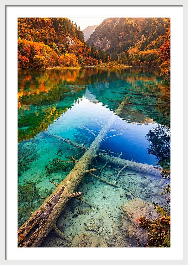 Five Flower Lake Reflections