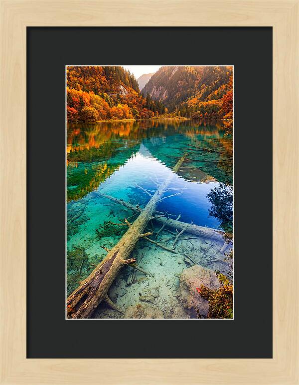 Five Flower Lake Reflections