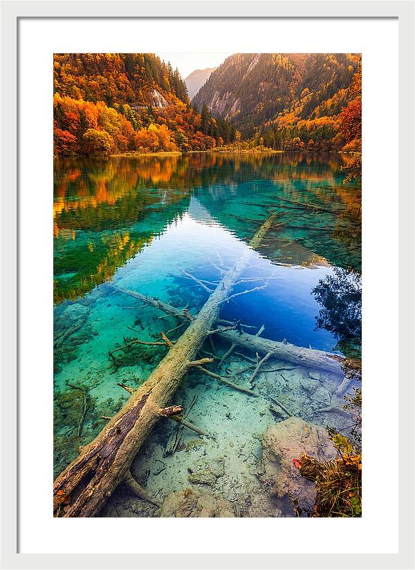 Five Flower Lake Reflections
