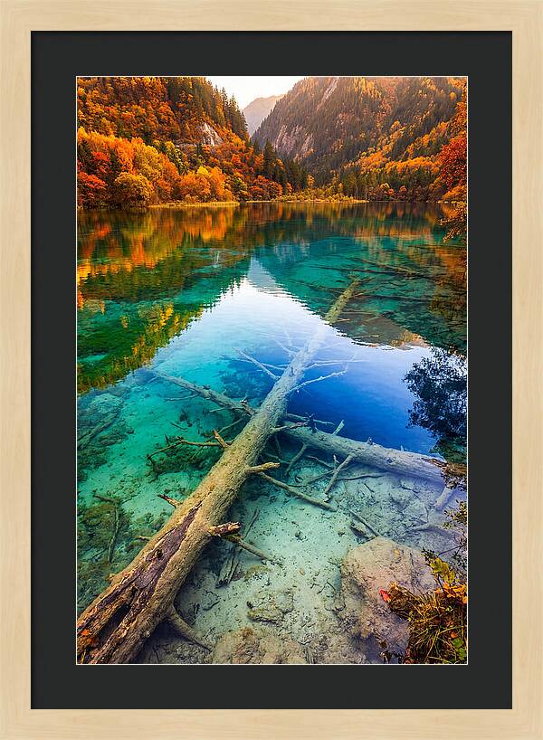 Five Flower Lake Reflections