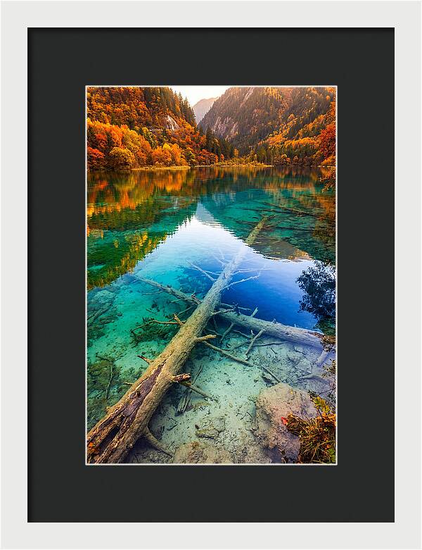Five Flower Lake Reflections