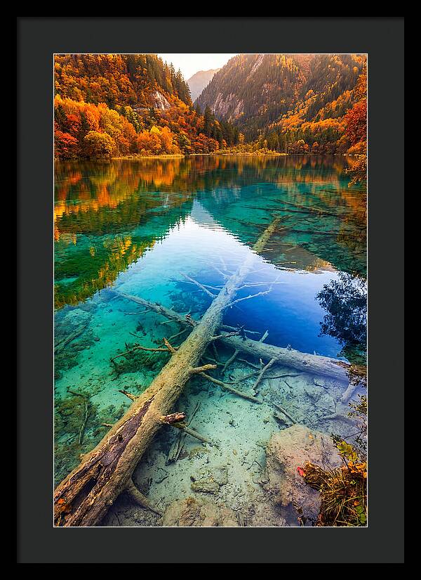 Five Flower Lake Reflections