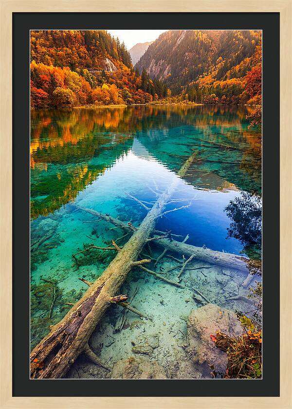 Five Flower Lake Reflections