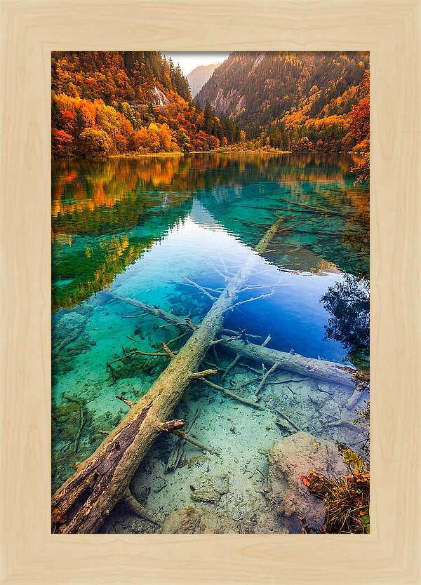 Five Flower Lake Reflections
