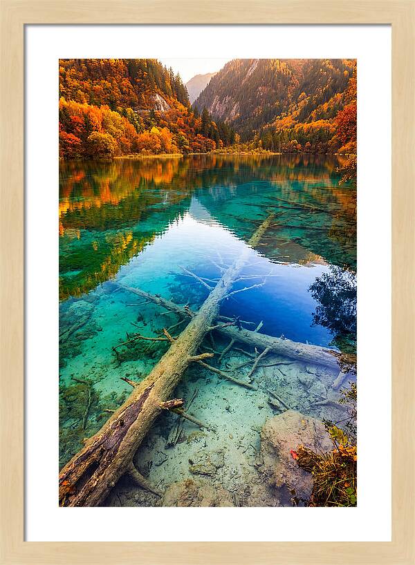 Five Flower Lake Reflections