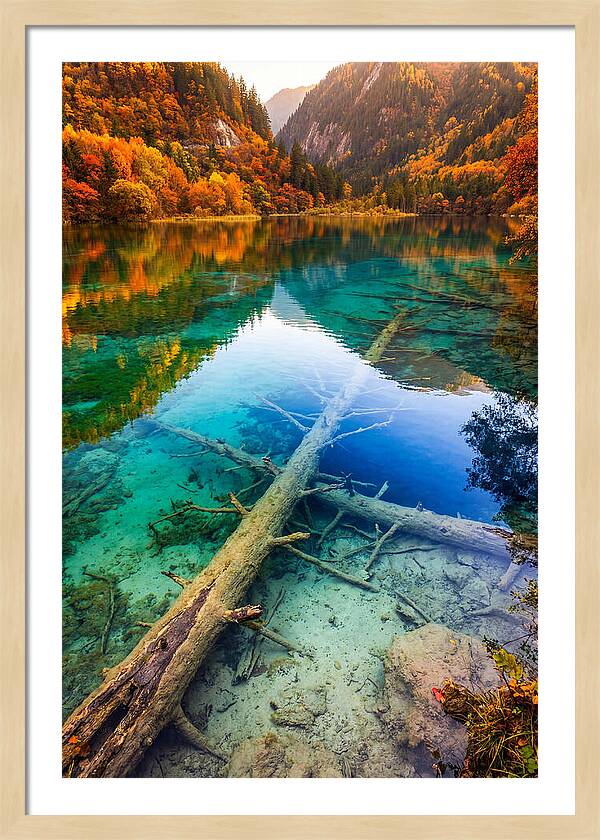 Five Flower Lake Reflections