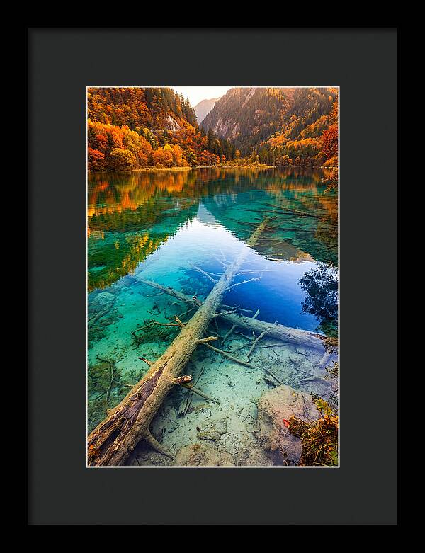 Five Flower Lake Reflections