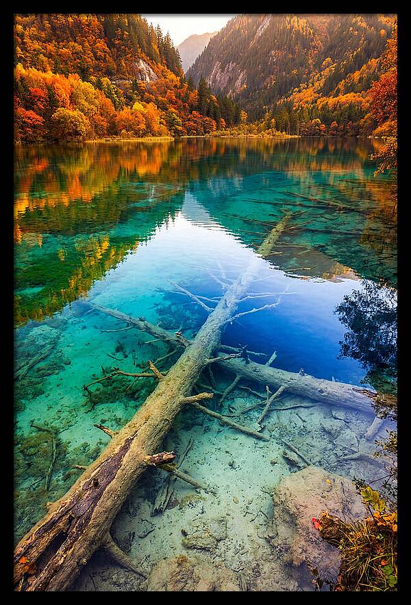 Five Flower Lake Reflections