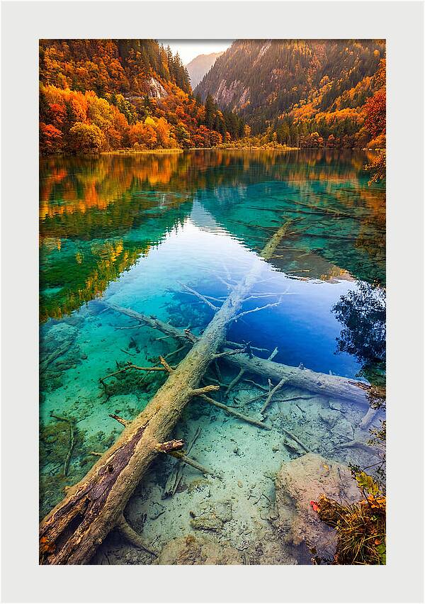 Five Flower Lake Reflections