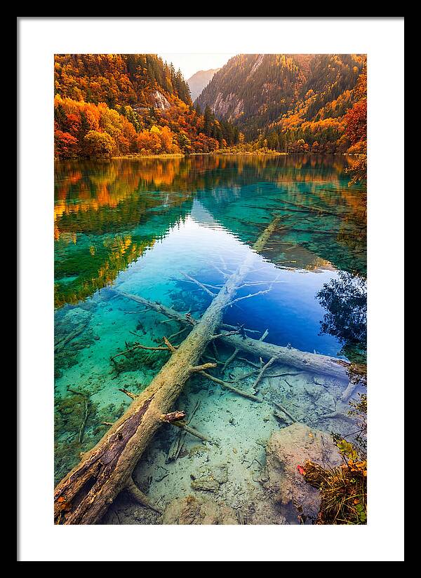 Five Flower Lake Reflections