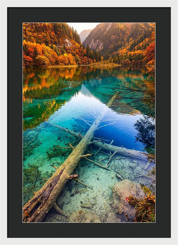 Five Flower Lake Reflections