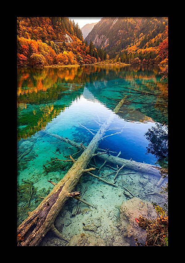 Five Flower Lake Reflections
