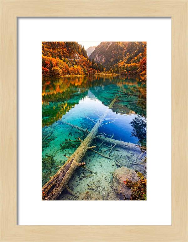 Five Flower Lake Reflections