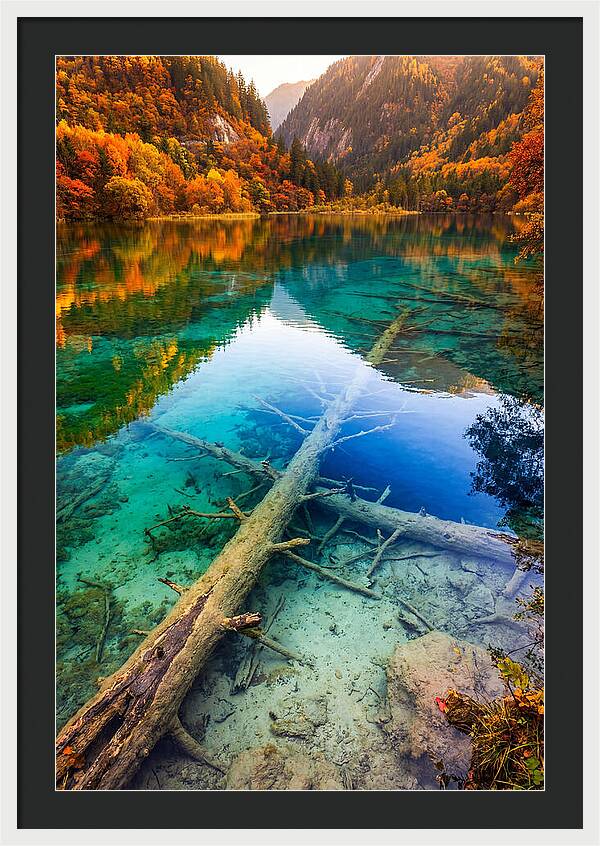 Five Flower Lake Reflections