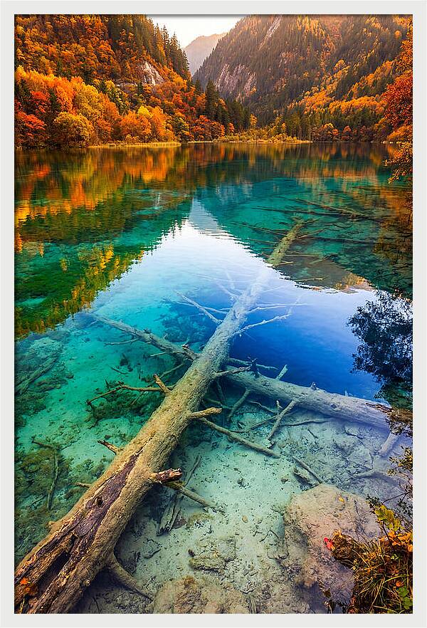 Five Flower Lake Reflections