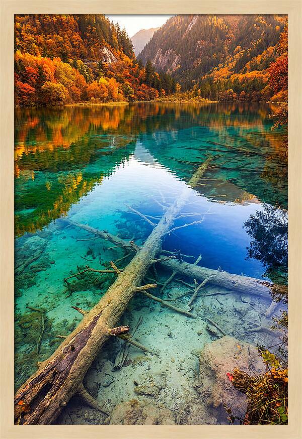Five Flower Lake Reflections