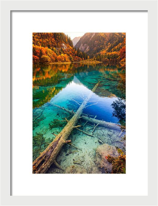 Five Flower Lake Reflections