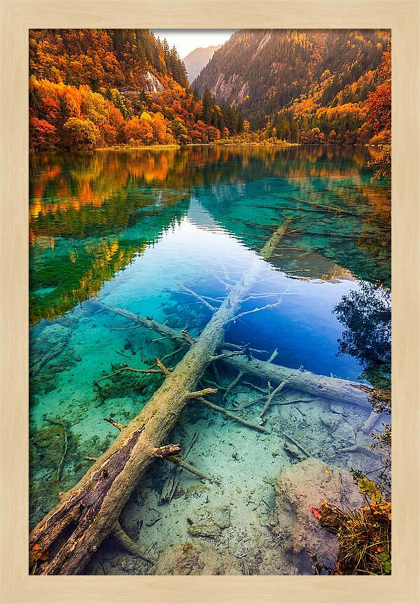 Five Flower Lake Reflections