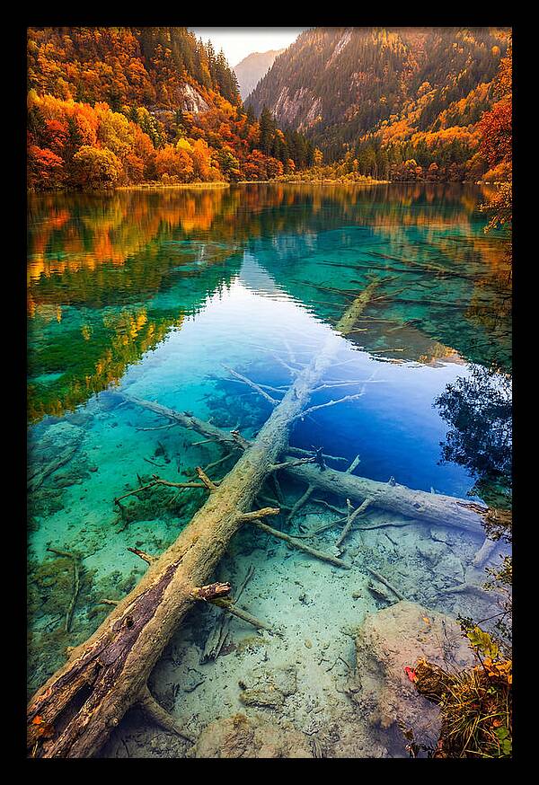 Five Flower Lake Reflections