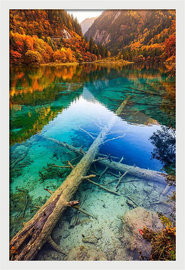 Five Flower Lake Reflections