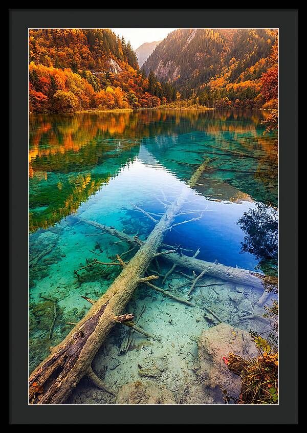 Five Flower Lake Reflections
