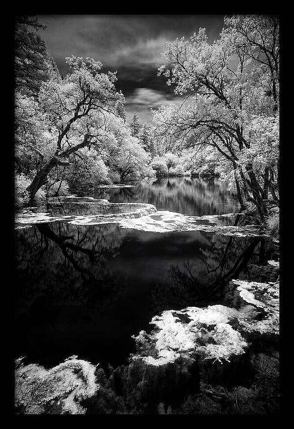 Five Flower Lake Reflections