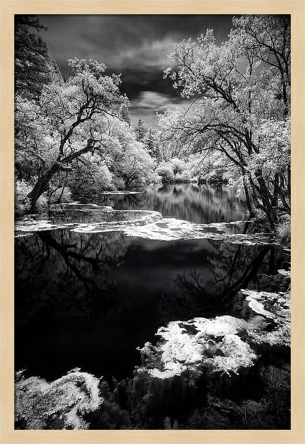 Five Flower Lake Reflections
