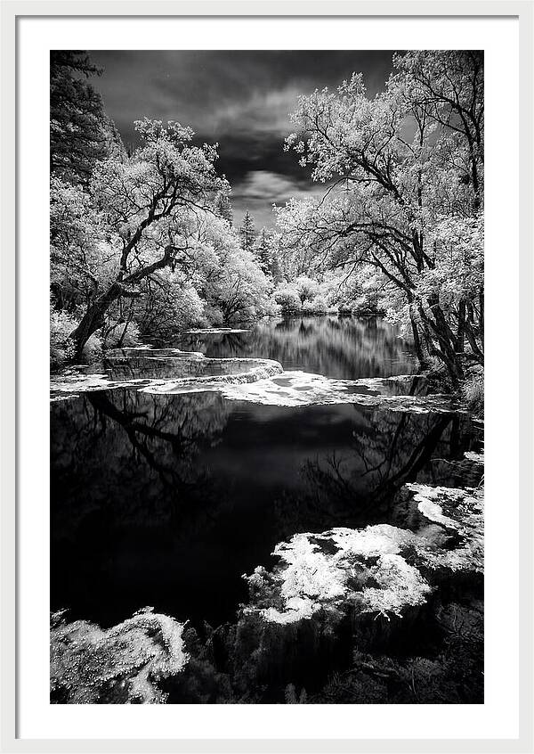 Five Flower Lake Reflections