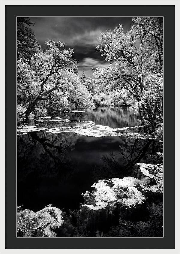 Five Flower Lake Reflections