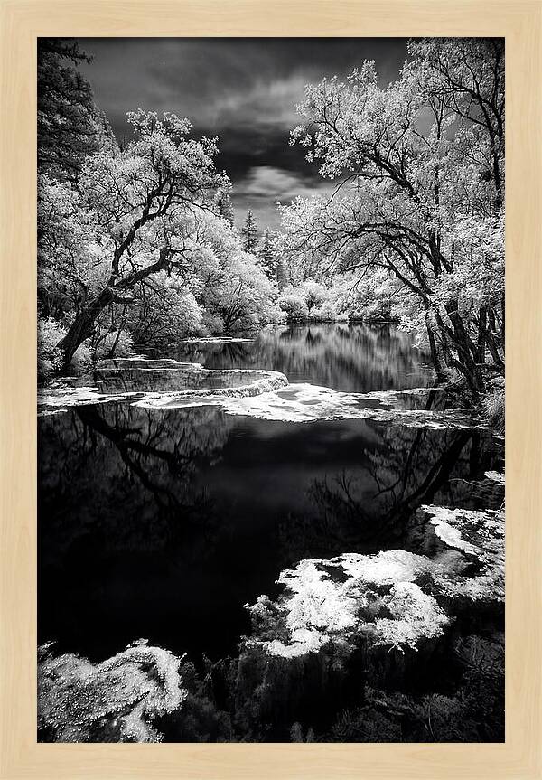 Five Flower Lake Reflections